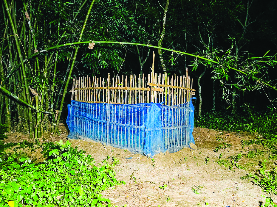 Image of মো: রায়হান আলী